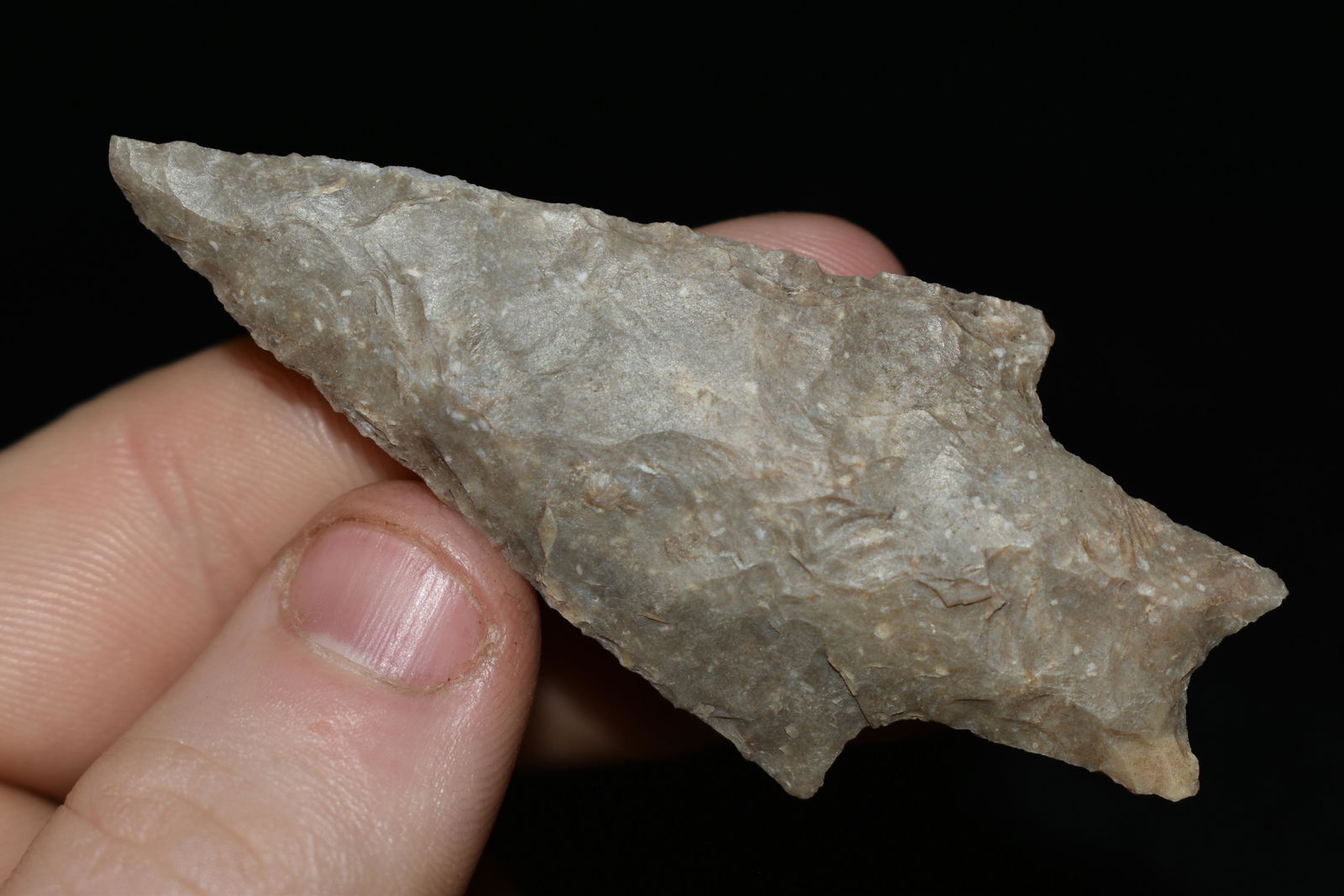 2 7/8" Perdenales found in Texas,  Authentic Native (1 of 4)