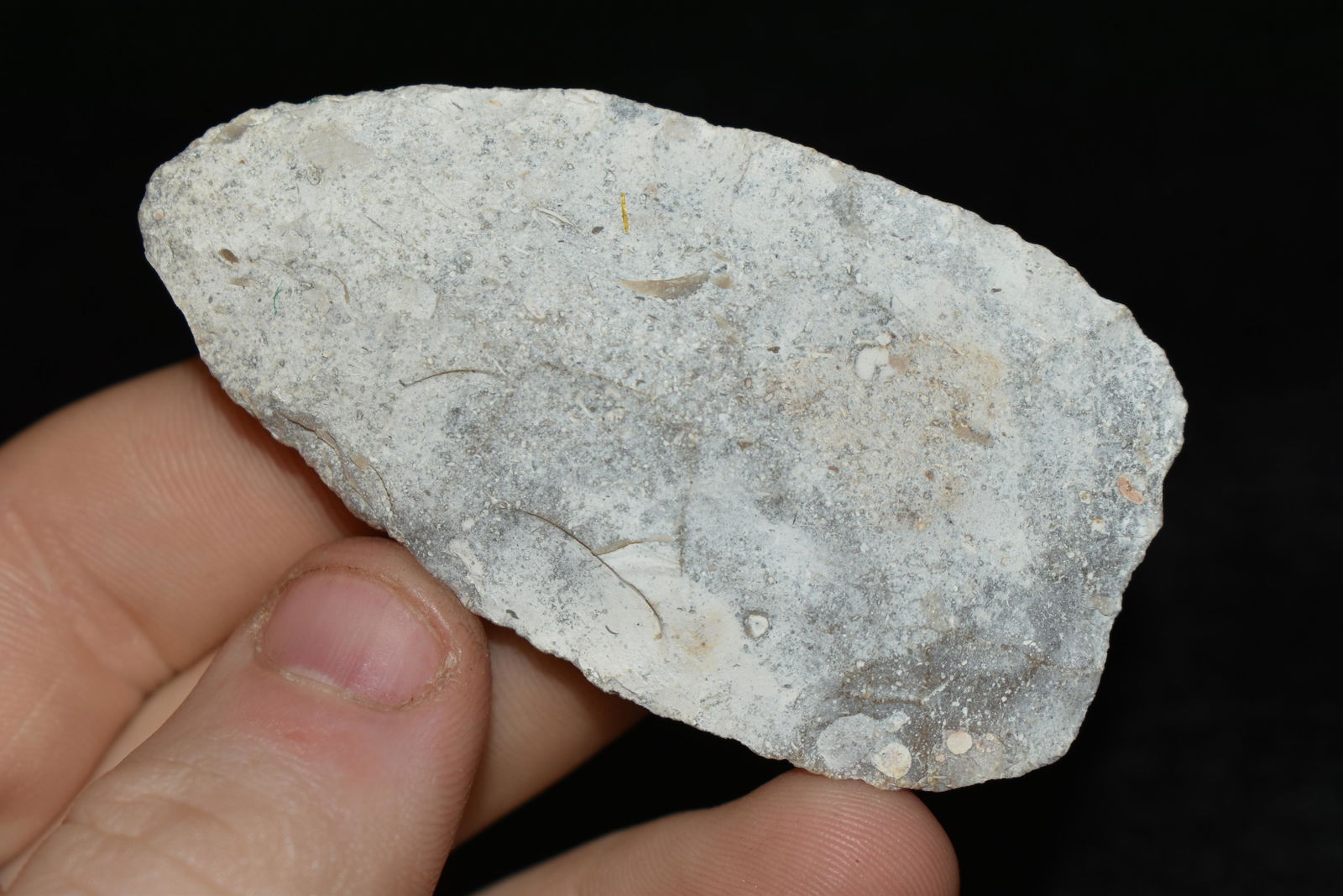 2 5/8"  Fluted Paleo Point, well frosted, ground-base, (1 of 6)
