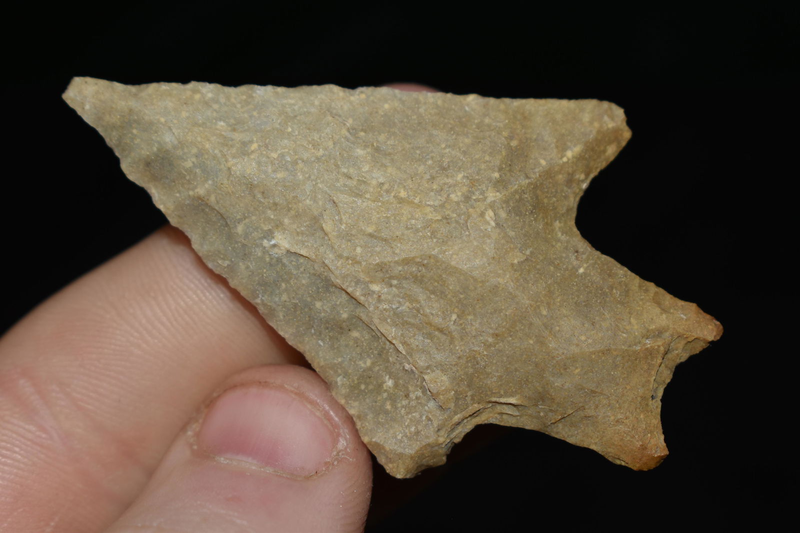 2 3/8" Langtry found in Texas, authentic Native (1 of 4)