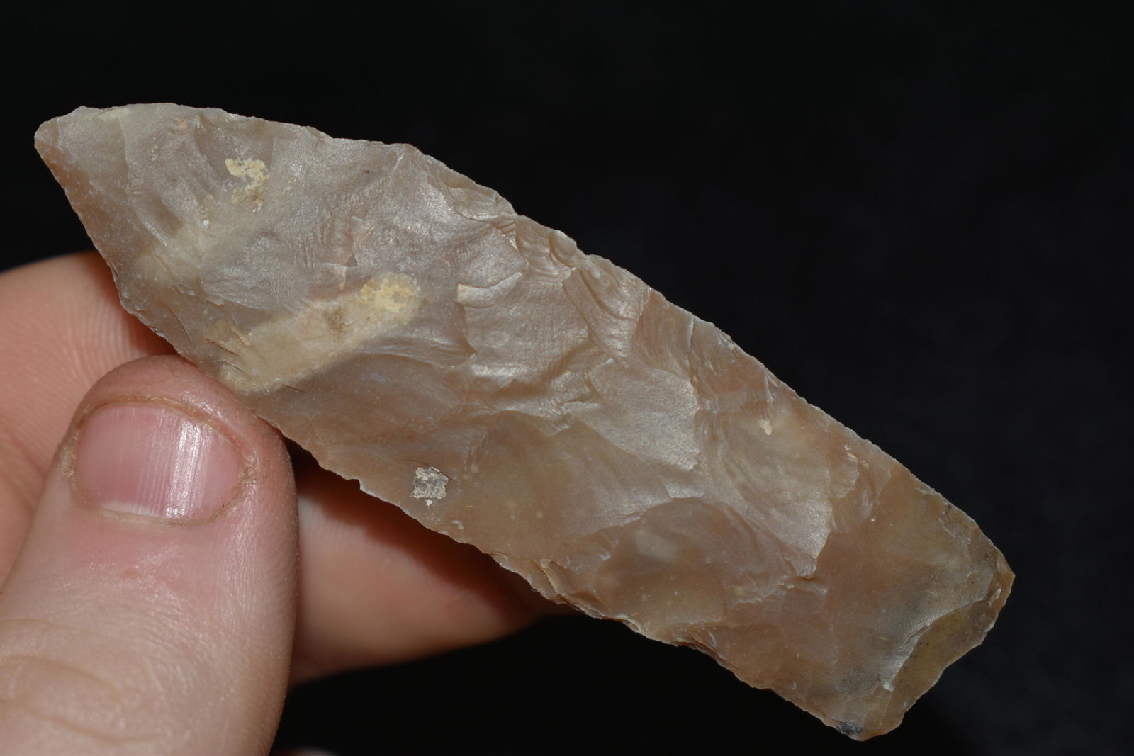 3" Paleo Blade, Semi-Translucent, Travis Co. Texas (1 of 4)