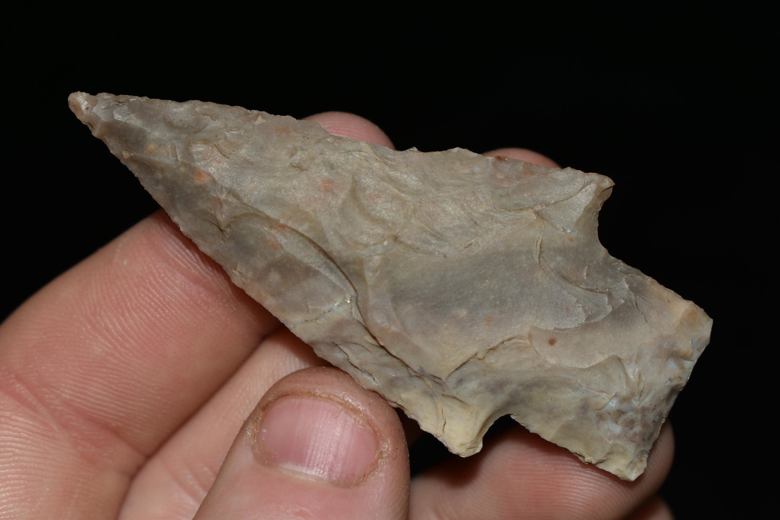 2 5/8" Oakalla, Found in Texas, Native American (1 of 4)