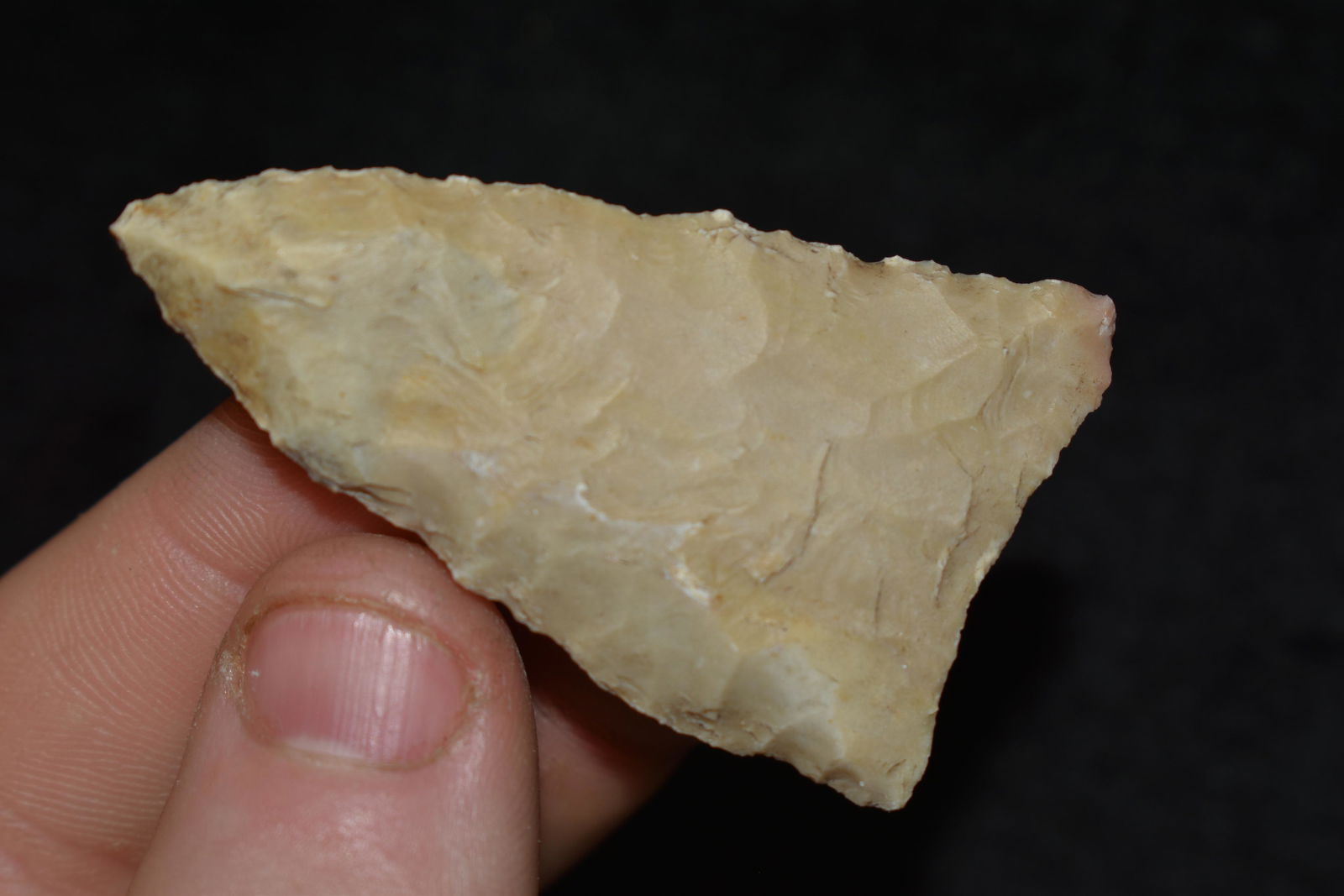 2 1/8" Dalton, Found in Texas, Native American Artifact (1 of 4)