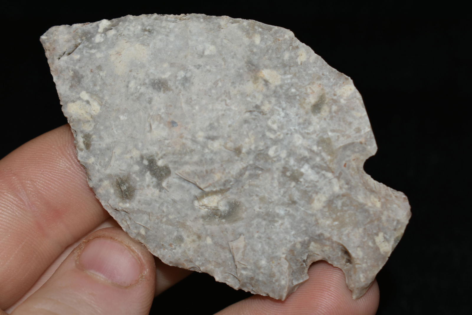 3 1/8" Base Tang, Found in Texas, Native American (1 of 4)