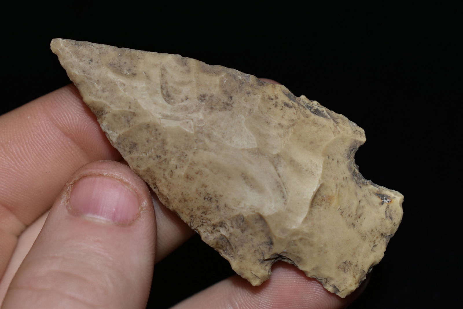 2 3/4" Hale, Found in Texas, Native American Artifact (1 of 4)