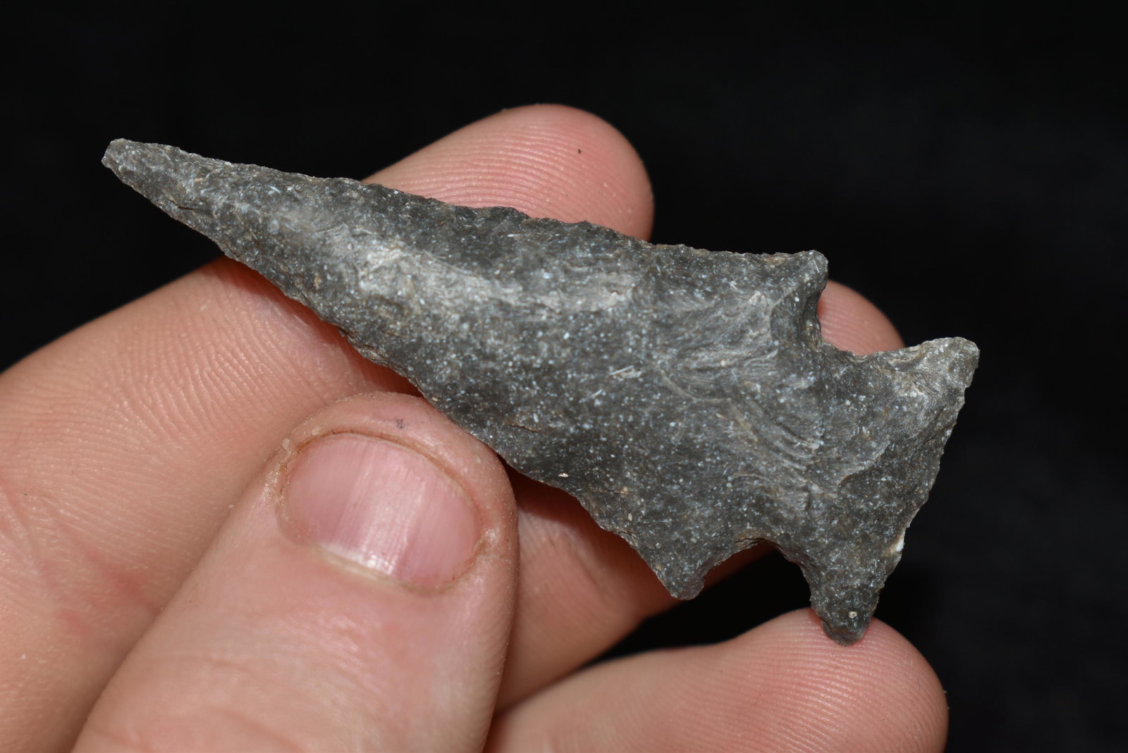 2 1/4" Ensor Found in Texas, Native American Artifact (1 of 4)