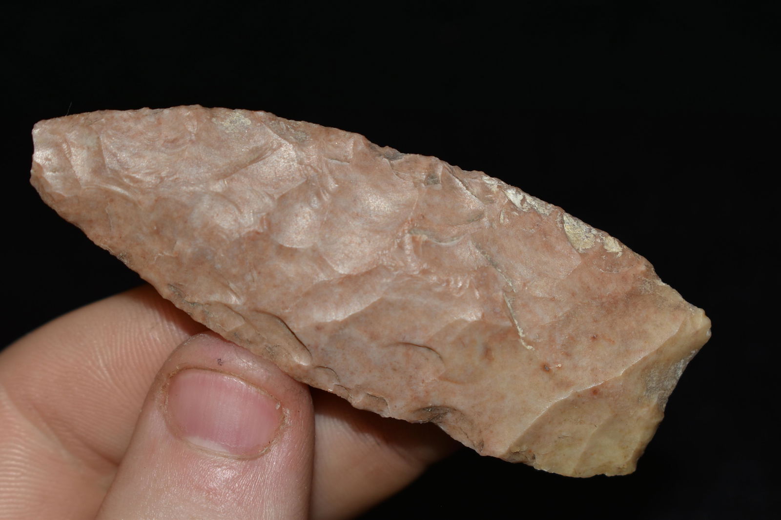 2 7/8" Angostura, Found in Texas, Native American (1 of 4)