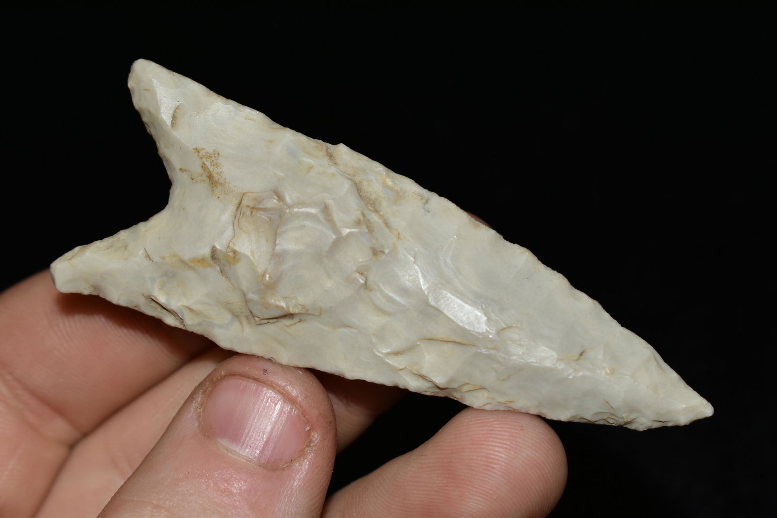 2 7/8" Dalton, Classic Form, Found in Texas, Native (1 of 5)