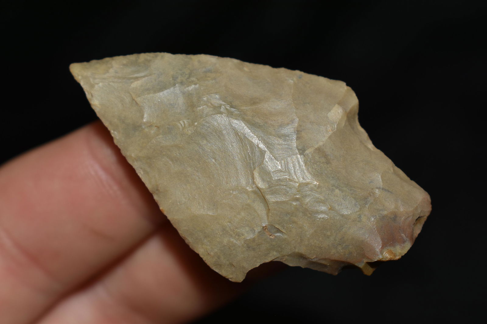 2 1/8" Adena found in Arkansas, Ex. Jerry Dickey (1 of 4)