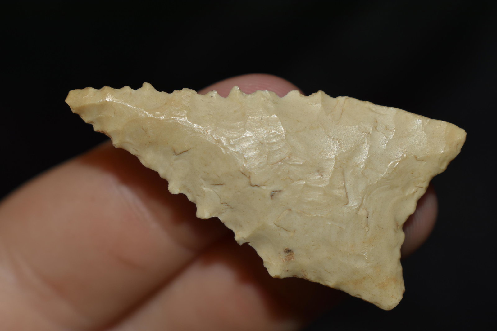 1 3/4" Serrated Dalton, Ground Base, found in Arkansas, (1 of 4)