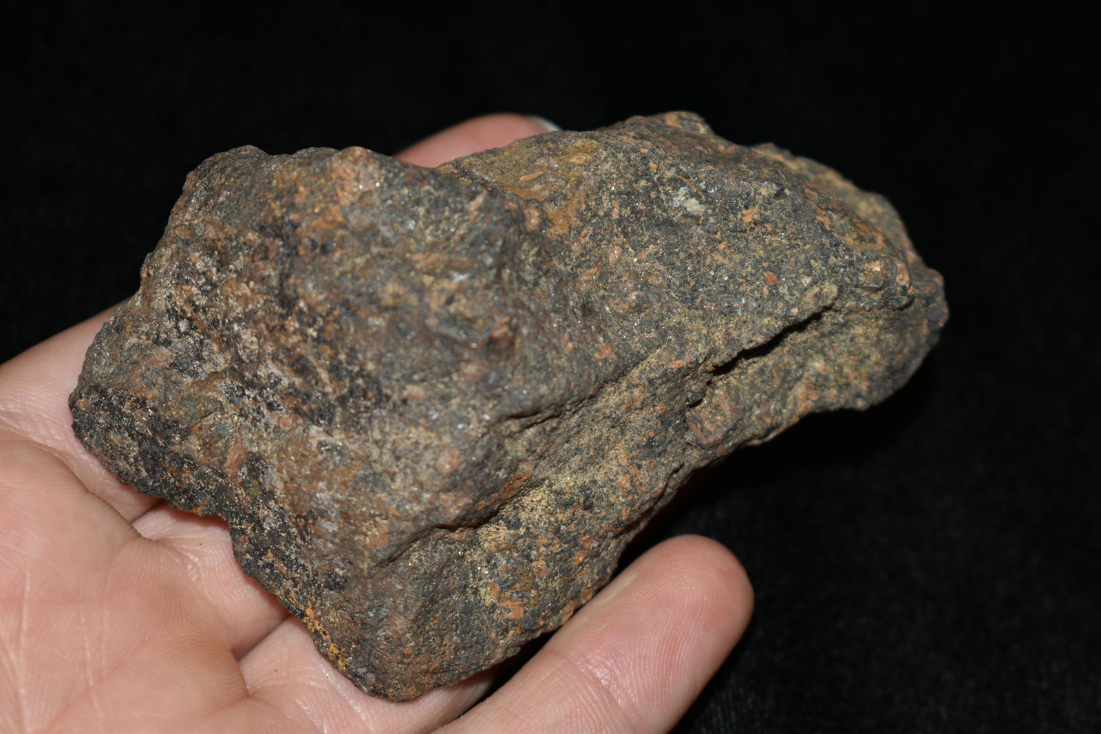 4" Del Campo Meteorite: 4" Del Campo Meteorite