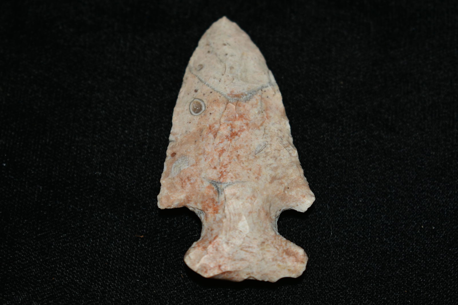 2 1/8" Colorful Motley Arrowhead: 2 1/8" Colorful Motley Arrowhead Found in Audrain County, Mo by Dennis Singleton. Authentic Ancient Pre-Historic Native American Indian Artifact Arrowhead