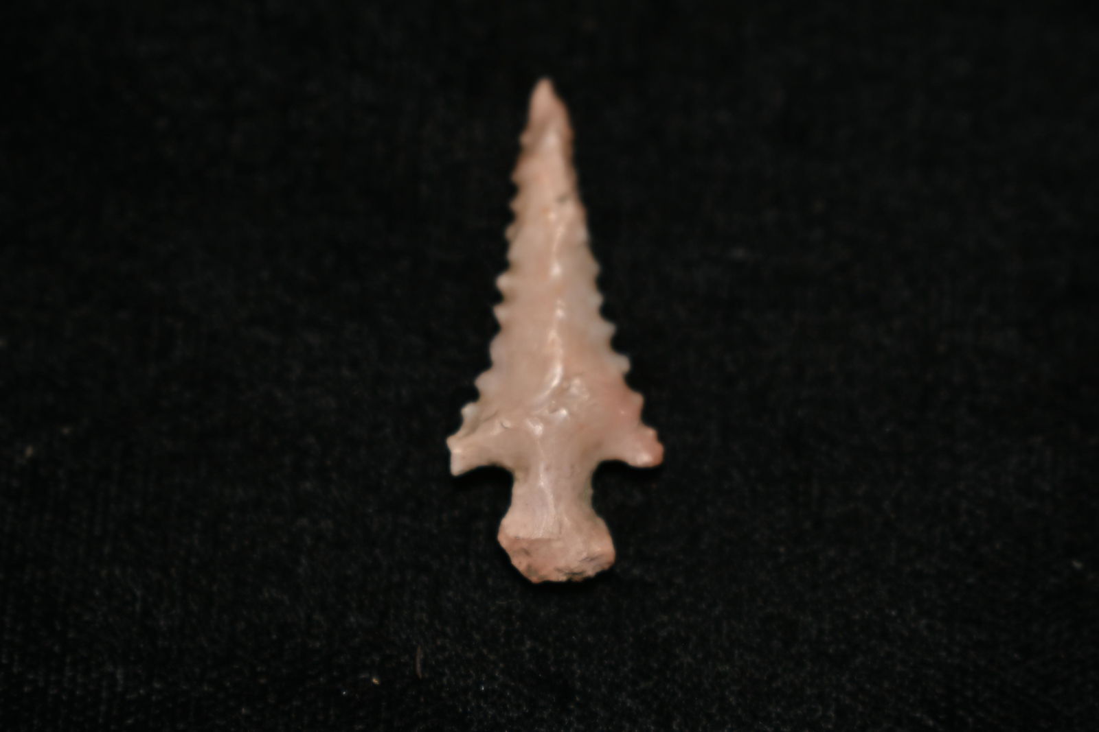 1 1/8" Colorful Scallorn: 1 1/8" Colorful Scallorn Found in Audrain County, Mo by Dennis Singleton. Authentic Ancient Pre-Historic Native American Indian Artifact Arrowhead