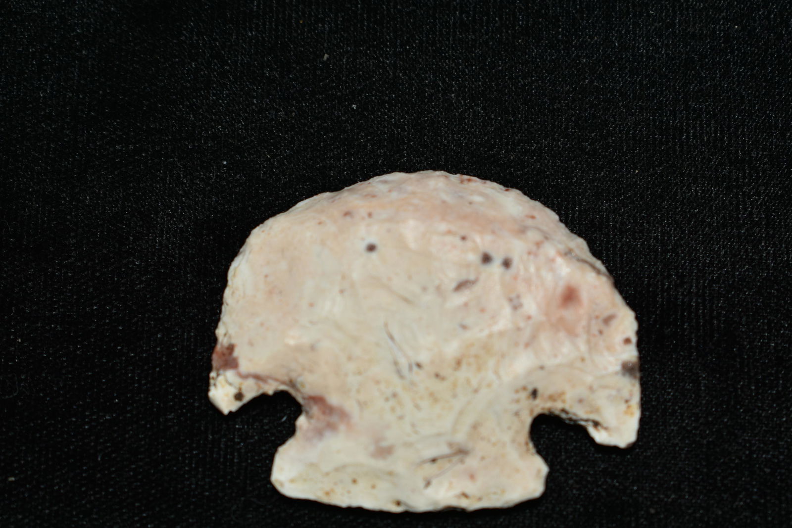 1 1/8" Hopewell Blunt: 1 1/8" Hopewell Blunt Found in Audrain County, Mo by Dennis Singleton. Authentic Ancient Pre-Historic Native American Indian Artifact Arrowhead