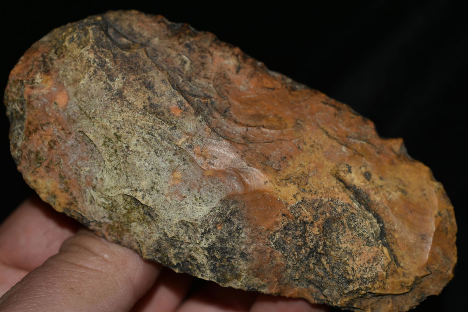 4 1/2" Burlington Adze: 4 1/2" Burlington Adze Found on the Leutre River, Mo by Dennis Singleton. Authentic Ancient Pre-Historic Native American Indian Artifact Arrowhead