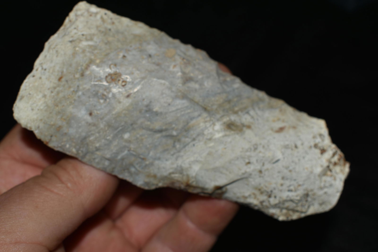 4 1/2" Uniquely Made Flint Axe: 4 1/2" Unequely Made Flint Axe or Celt with Heavy Polish Found in Audrain County, Mo by Dennis Singleton. Authentic Ancient Pre-Historic Native American Indian Artifact Arrowhead