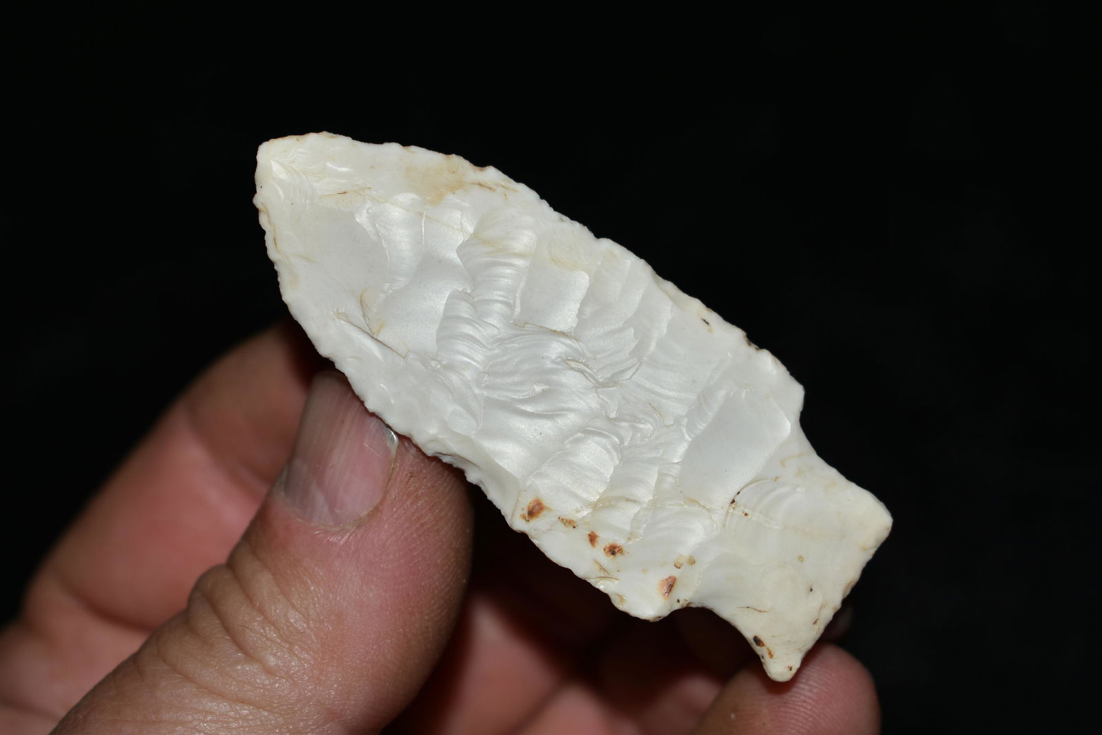 2 5/8" Tablerock: 2 5/8" Tablerock Found in Audrain County, Mo by Dennis Singleton. Authentic Ancient Pre-Historic Native American Indian Artifact Arrowhead