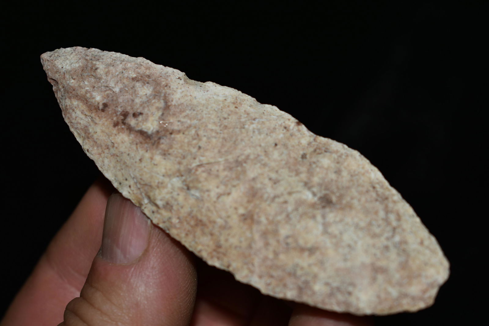 3 1/2" Strawberry Burlington Angostura: 3 1/2" Strawberry Burlington Angostura Found in Audrain County, Mo by Dennis Singleton. Authentic Ancient Pre-Historic Native American Indian Artifact