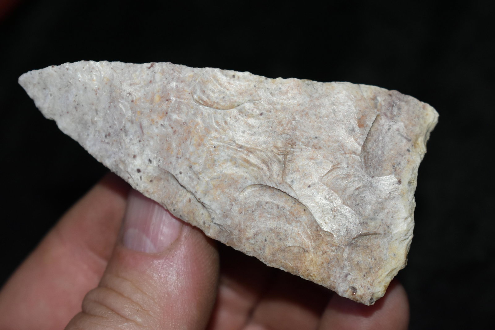 3 1/4" Stanfield Blade: 3 1/4" Stanfield Blade Found by Jeff Clickner in Randolph Co., Mo. Authentic Ancient Pre-Historic Native American Indian Artifact Arrowhead