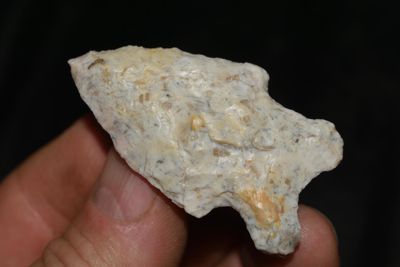 2 1/4" Rice Lobbed Arrowhead: 2 1/4" Rice Lobbed Arrowhead Found by Jeff Clickner in Randolph Co., Mo. Authentic Ancient Pre-Historic Native American Indian Artifact Arrowhead