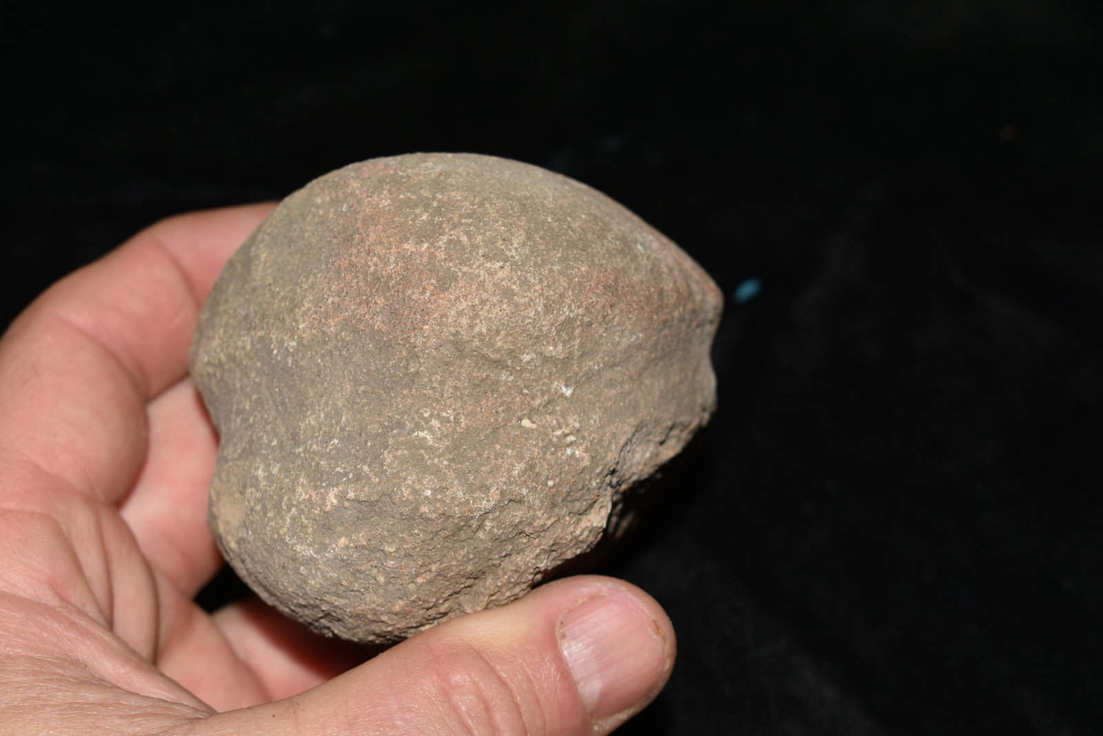 2 5/8" Grooved War Club: 2 5/8" Grooved War Club found by Cledus Barfield in Brown County, IL. This may have been a large net weight also. Authentic Ancient Pre-Historic Native American Indian Artifact Arrowhead