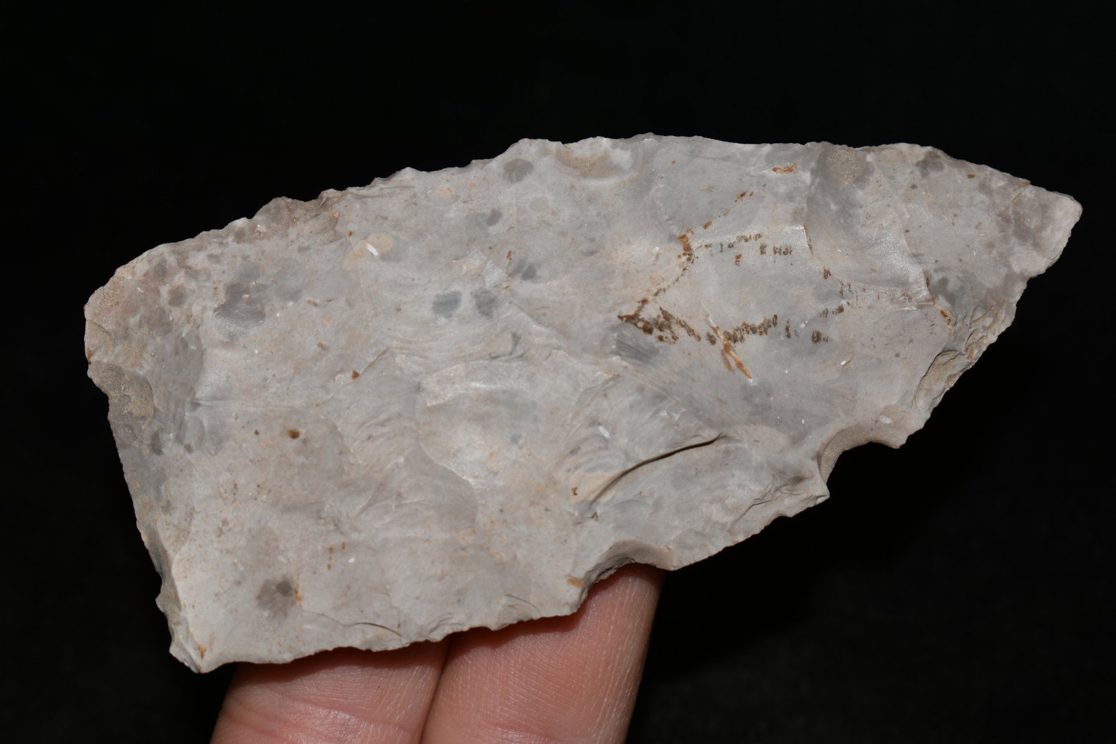 3 2/3" Sedalia, Chateau Chert, Central MO, Native: 3 2/3" Sedalia, Chateau Chert, Central MO, Native American Artifacts