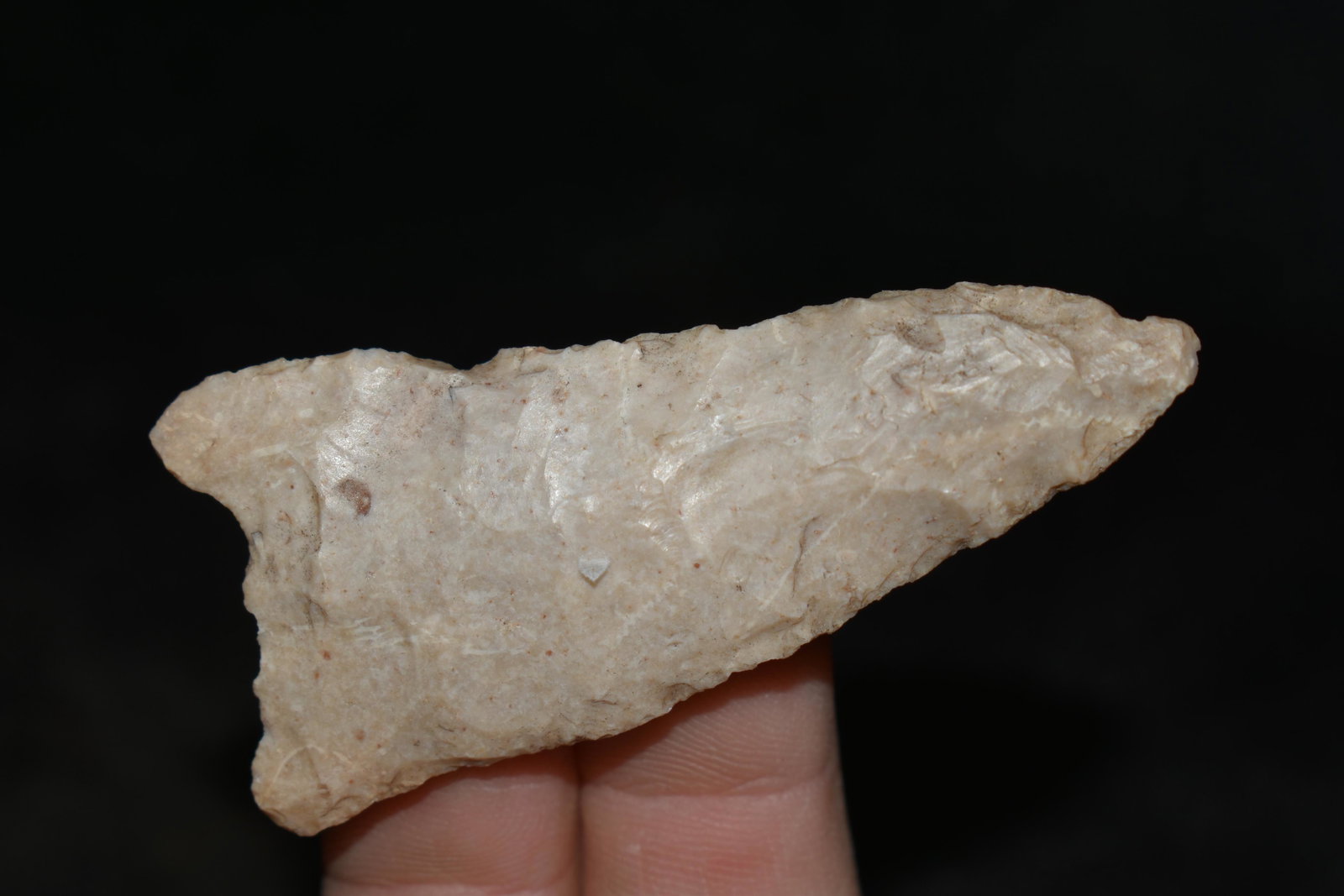 2 1/2" Paleo Dalton Benton CO. MO, Native American: 2 1/2" Paleo Dalton Benton CO. MO, Native American Artifacts