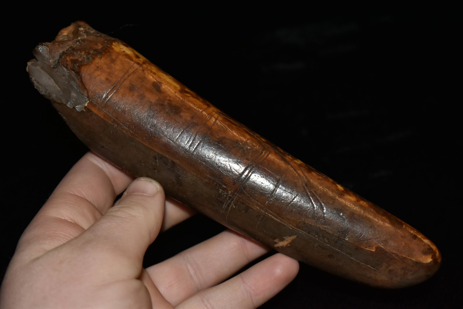 7 1/4" Engraved Eskimo Walrus Tusk, Authentic Native: 7 1/4" Engraved Eskimo Walrus Tusk, Authentic Native American Artifact