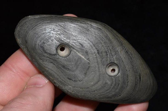 3 3/16" Gorget, Dickey COA, found in Indiana/Ohio Area,: 3 3/16" Gorget, Dickey COA, found in Indiana/Ohio Area, Authentic Native American Artifact