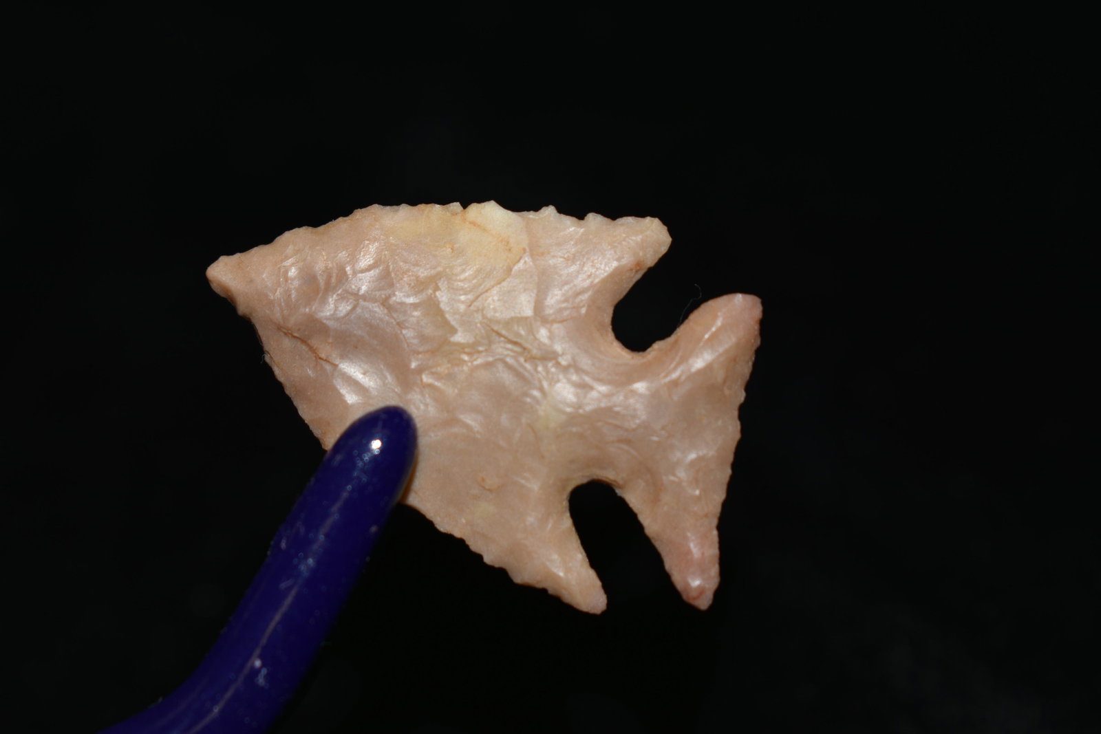 1.14" Scallorn, Perino COA, found in Central Texas,: 1.14" Scallorn, Perino COA, found in Central Texas, Authentic Native American Artifact