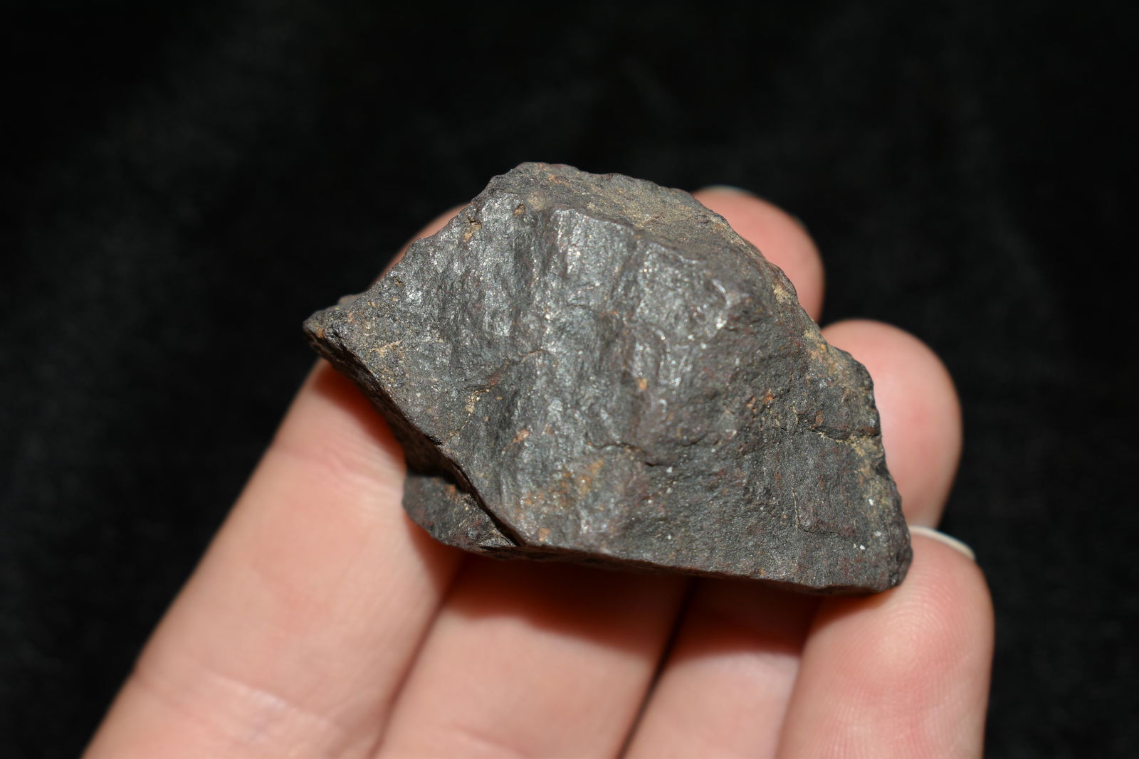 1 3/4" Del Campo Meteorite: 1 3/4" Del Campo Meteorite
