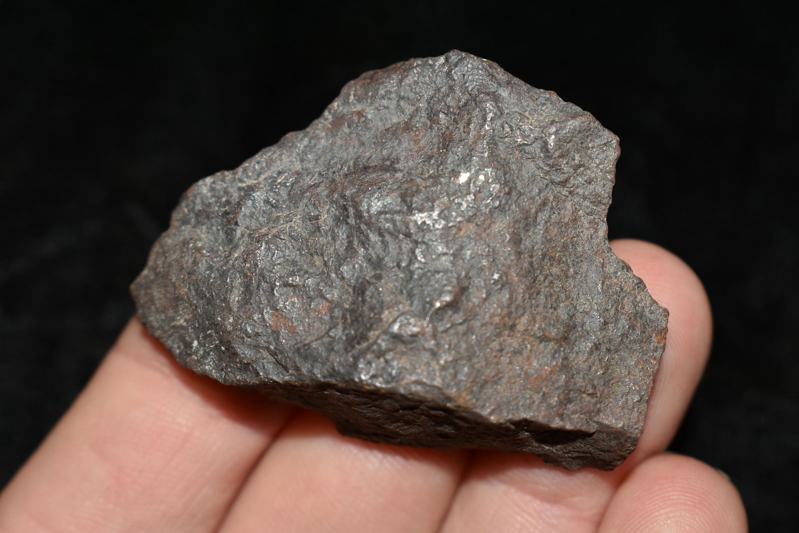1 3/4" Del Campo Meteorite: 1 3/4" Del Campo Meteorite