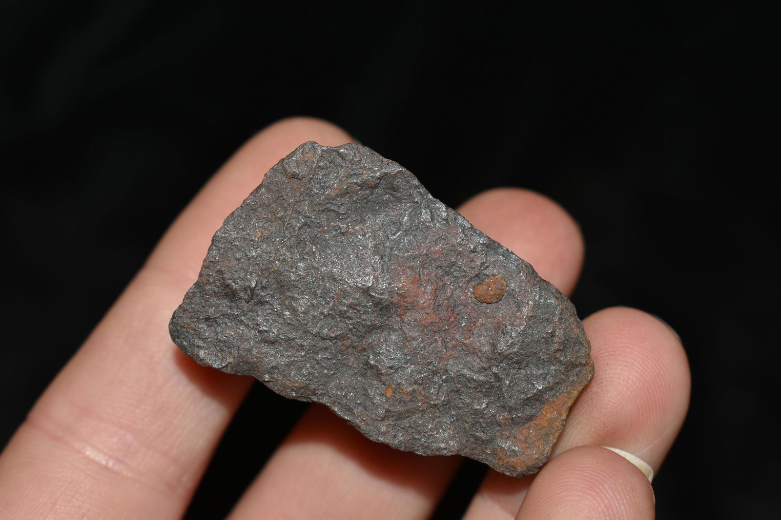 1 1/2" Del Campo Meteorite: 1 1/2" Del Campo Meteorite