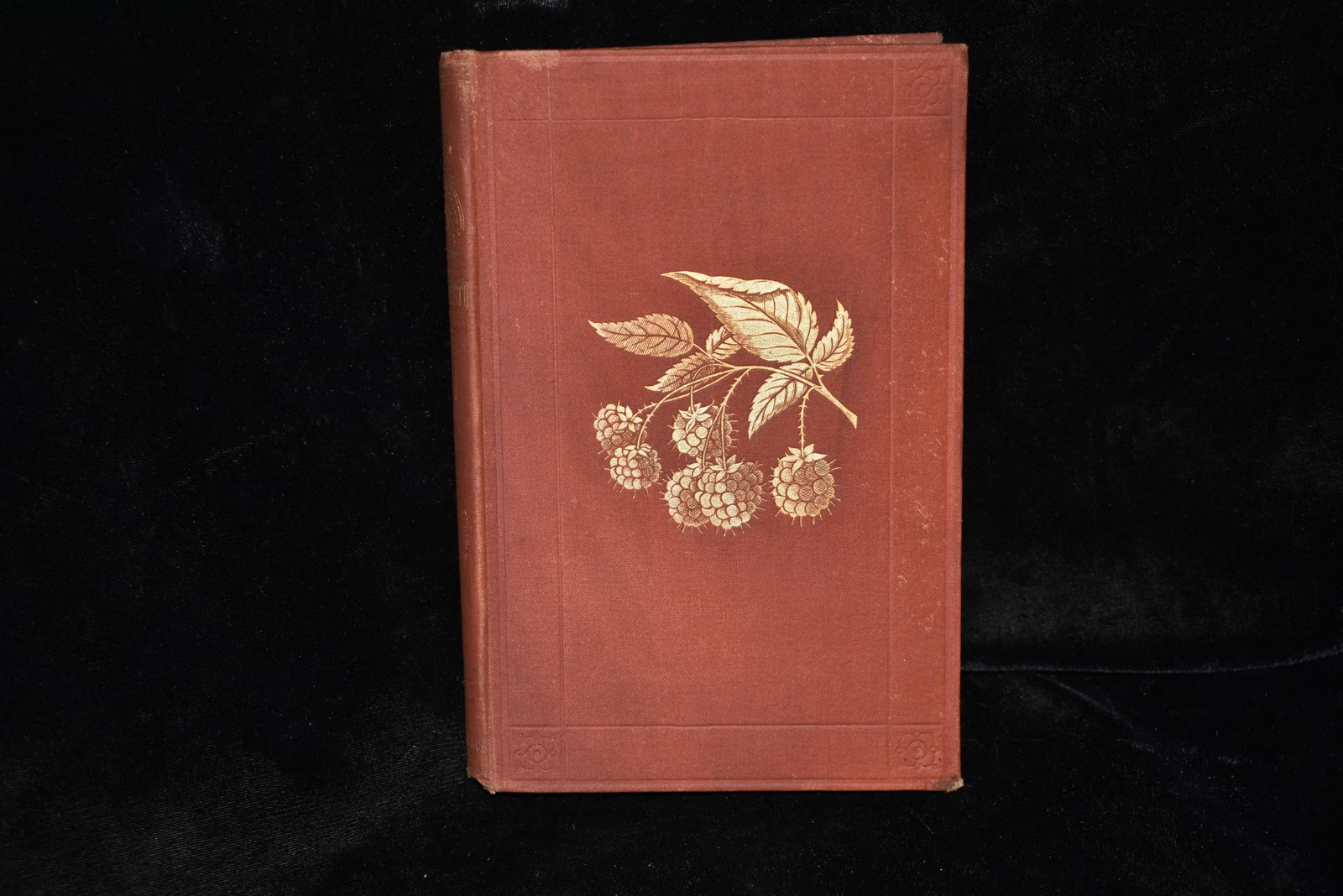 1867 The Small Fruit Culturist 1st Edition: The Small Fruit Culturist by Andrew Fuller. Published by Orange Judd & Company, New York (1867). 1st Edition. Publishers original embossed red cloth hardback in gold print. Very Good Condition. Some s