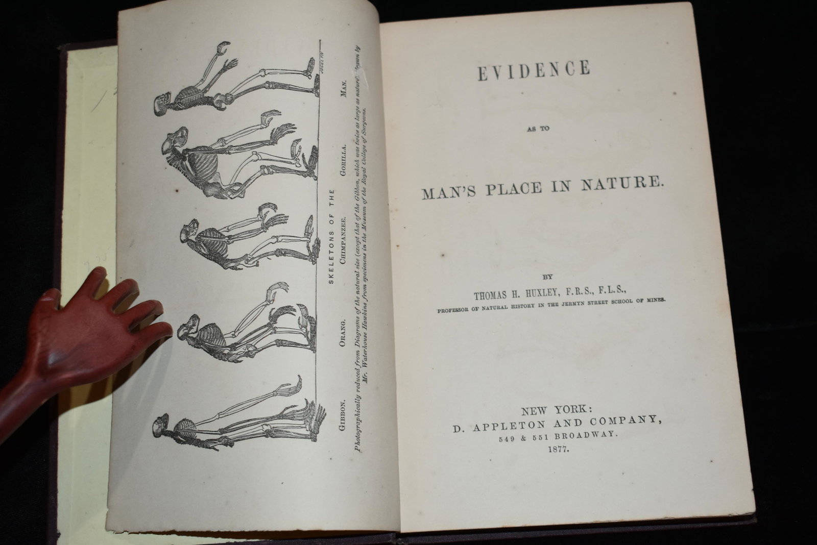 1877 Evidence as to Man's Place in Nature: Evidence as to Man's Place in Nature by Thomas H. Huxley. Published by D. Appleton & Co., New York 1877. Publishers original embossed brown cloth hardback with gold gilt to spine. Very Good + Conditio