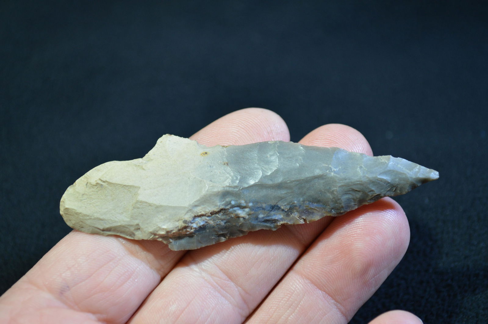 3 5/8 " Adena Found in Pulaski Co. IL by Tom and (1 of 5)