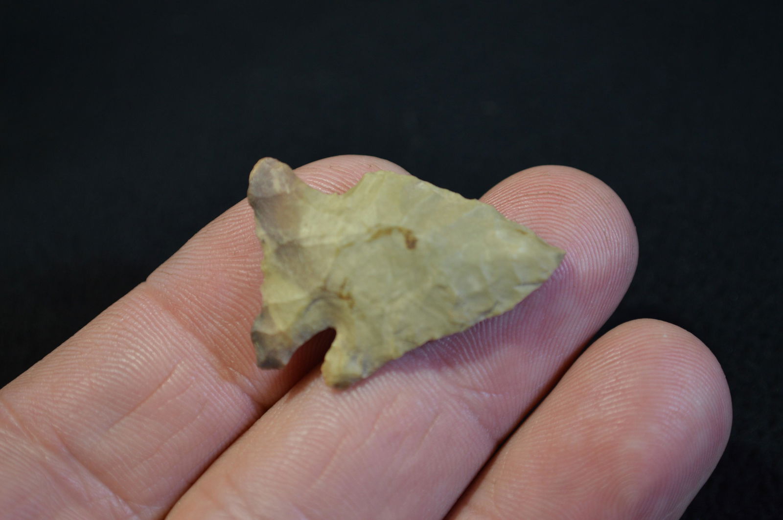 1 1/4 " Lost Lake Found in Pulaski Co. IL by Tom and (1 of 4)