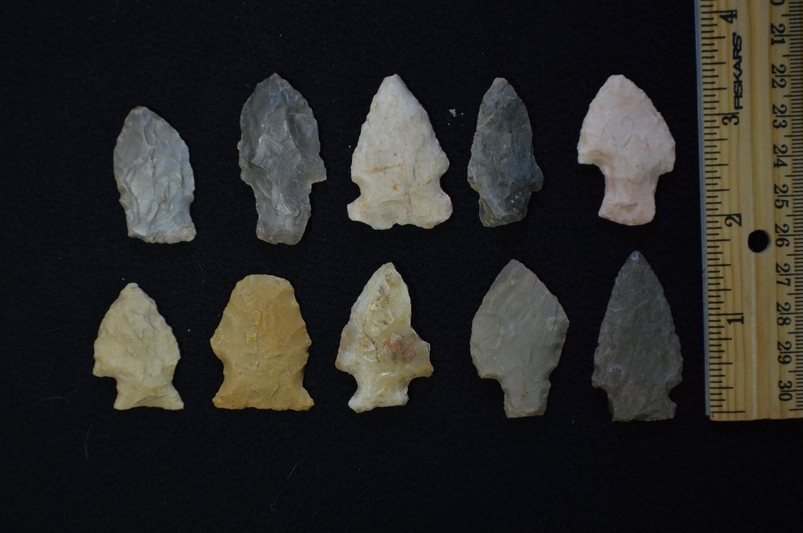 10 Points Longest is 1 3/4 " Found in Pulaski Co. IL by (1 of 2)