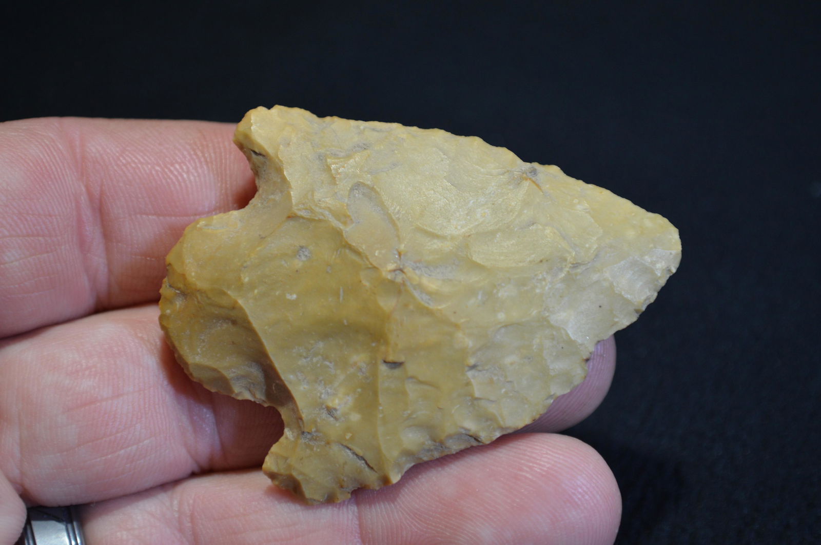 2 3/8 " Pontchartrain Found in Pulaski Co. IL by Tom (1 of 4)