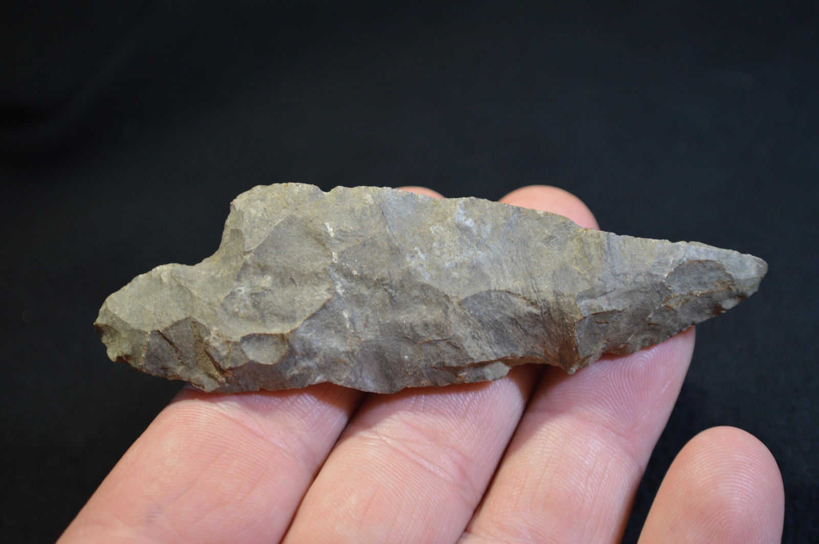 3 7/8 " Adena Found in Pulaski Co. IL by Tom and (1 of 4)