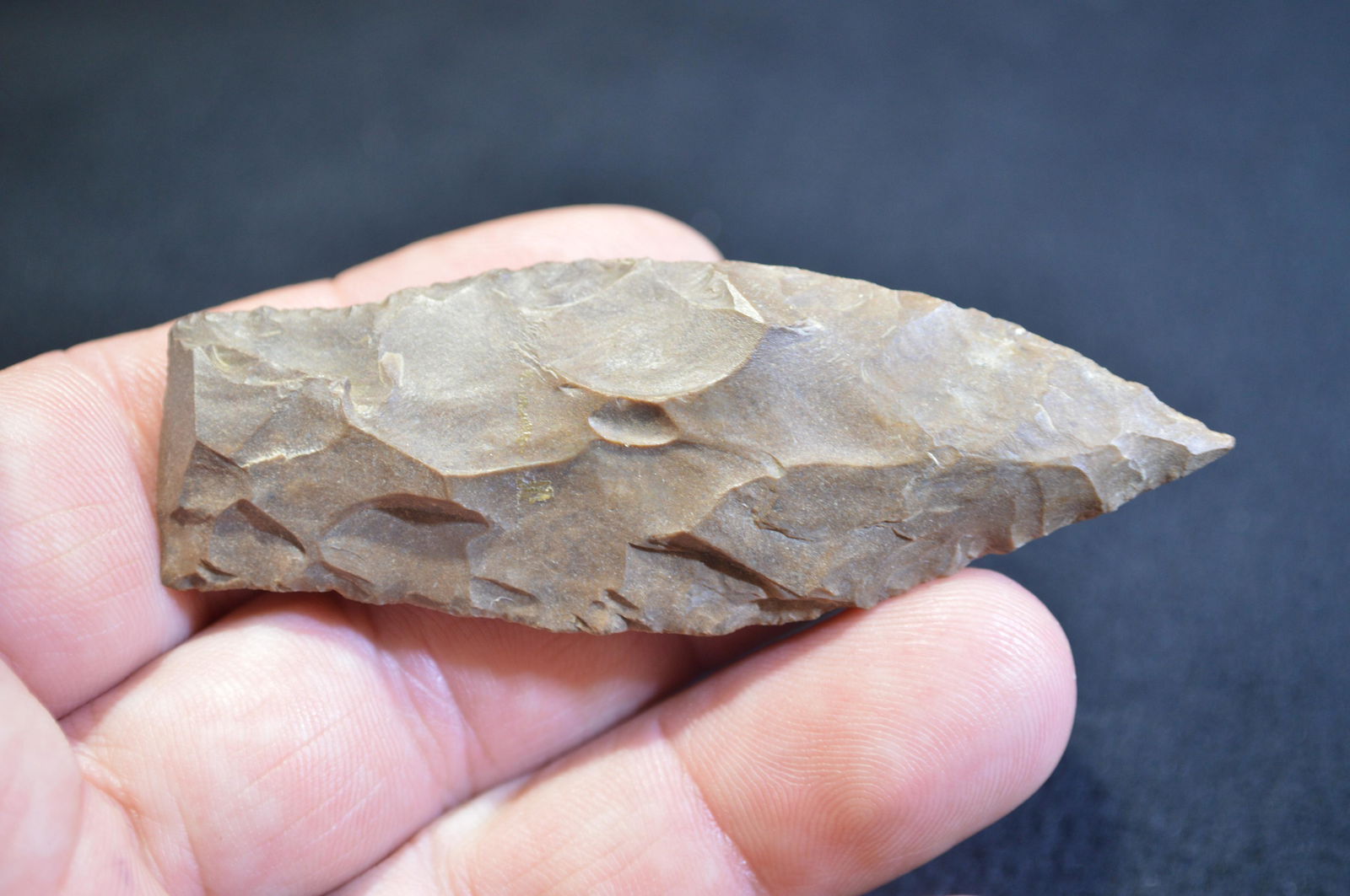 3 1/8 " Copena Found in Union Co. KY by Marvin (1 of 4)