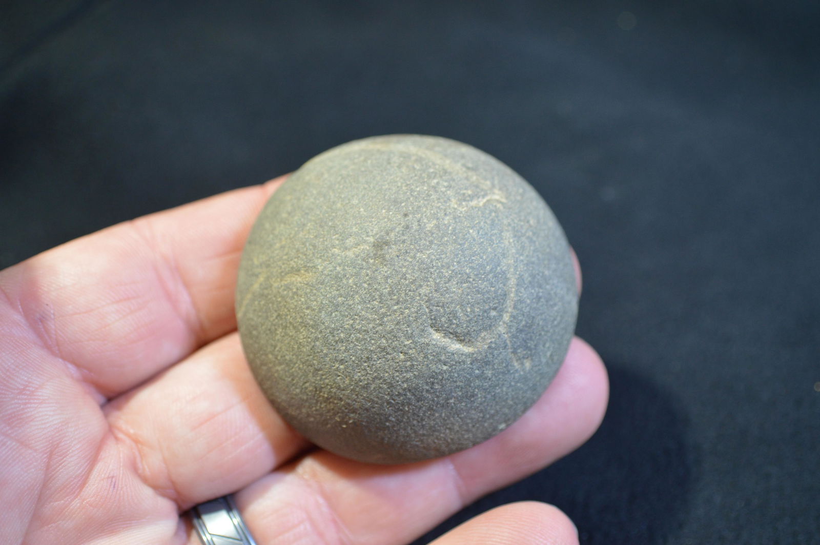 2 1/16 " Cone Found in Pulaski Co. IL by Tom and (1 of 5)