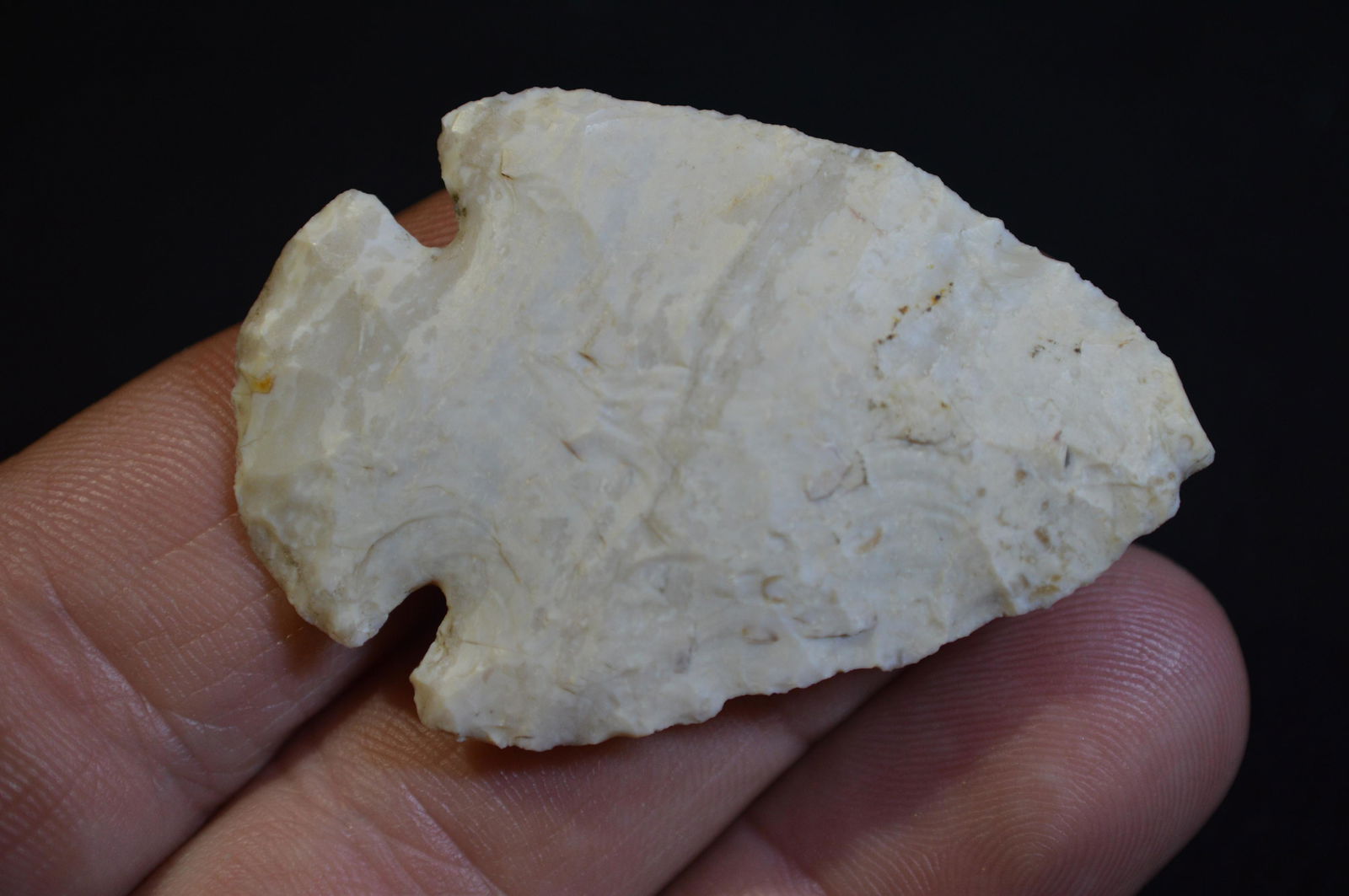 2 1/8 " Dovetail Found in LaSalle Co. IL by Fred (1 of 4)