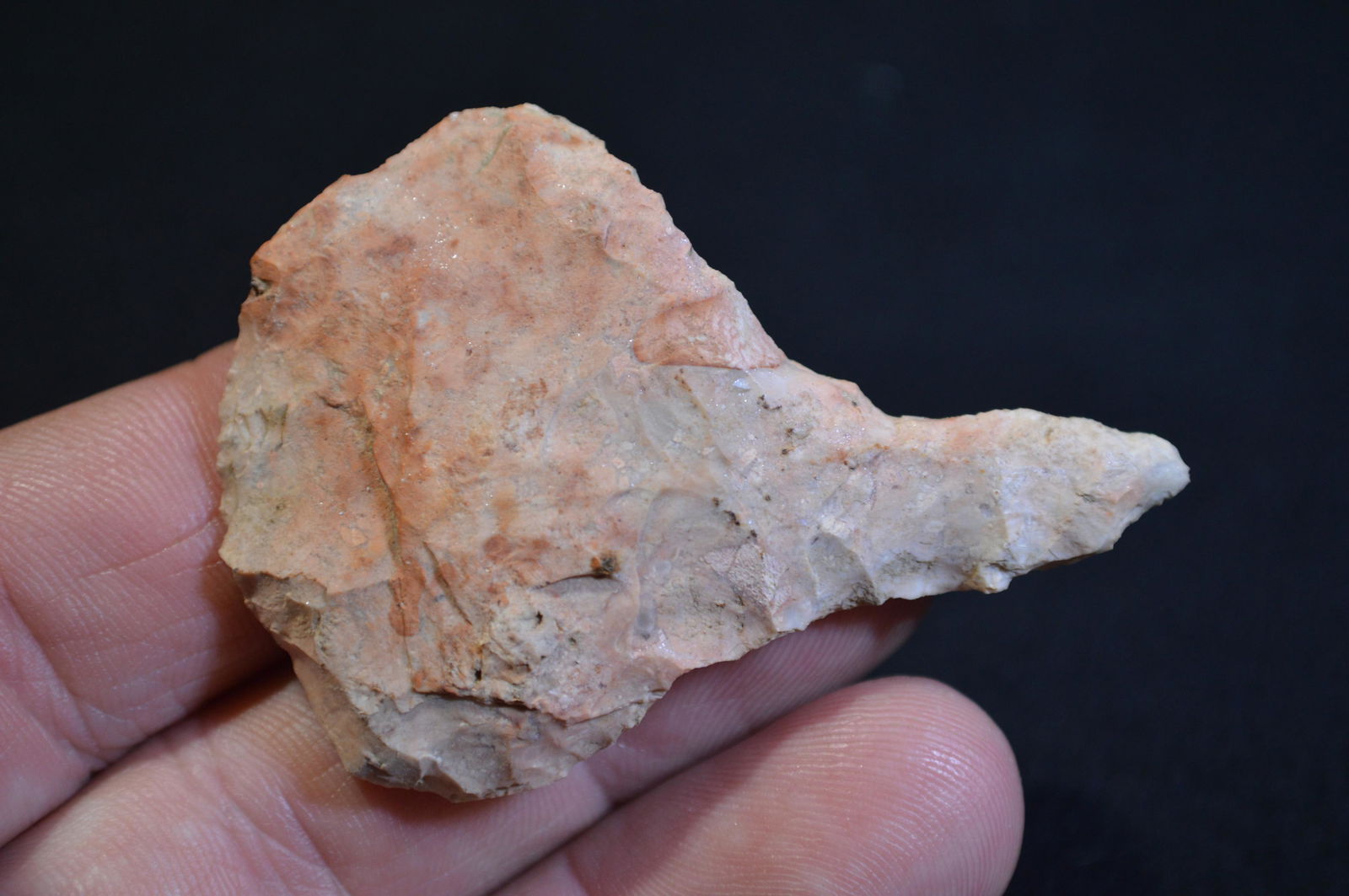 2 1/2 " Paddle Drill Found in Pulaski Co. IL by Tom and (1 of 4)