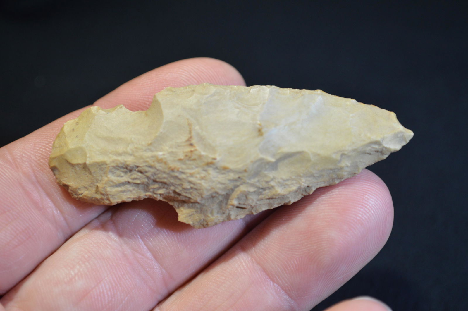 2 3/4 " Adena Found in Pulaski Co. IL by Tom and (1 of 4)