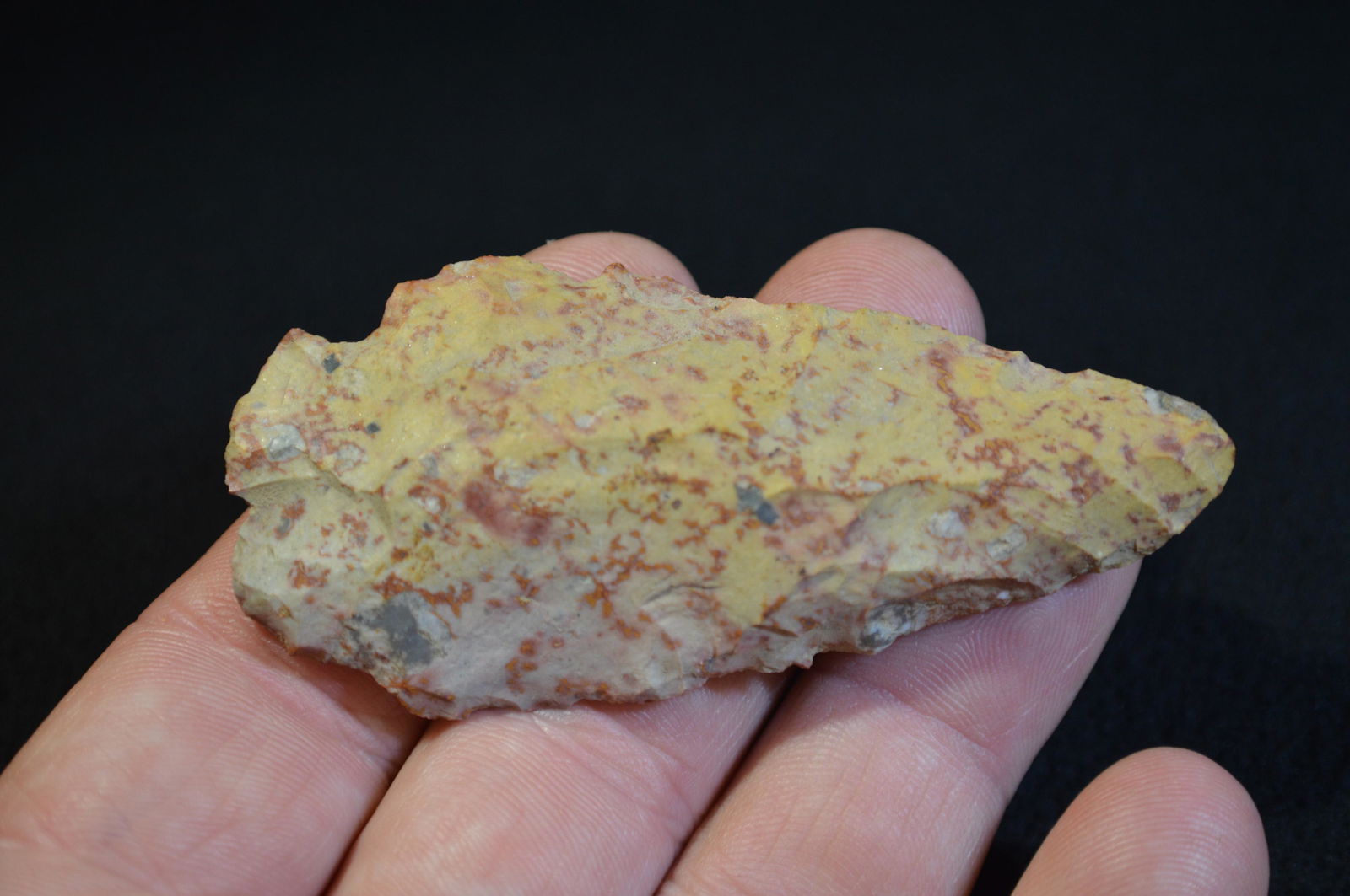 3 1/8 " Big Slough Found in Pulaski Co. IL by Tom and (1 of 4)