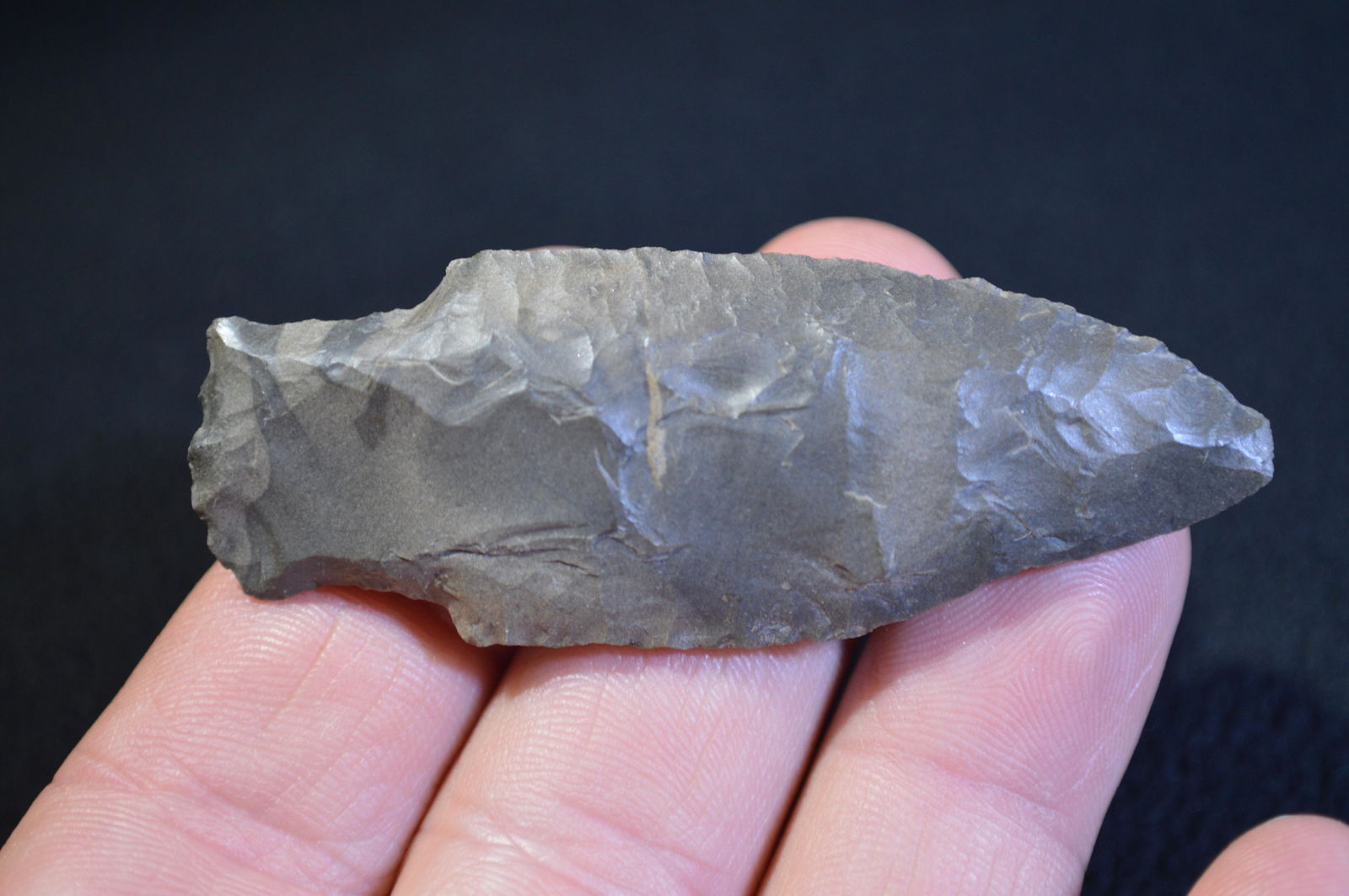 2 13/16 " Adena Robbins Found in Pulaski Co. IL by Tom (1 of 4)