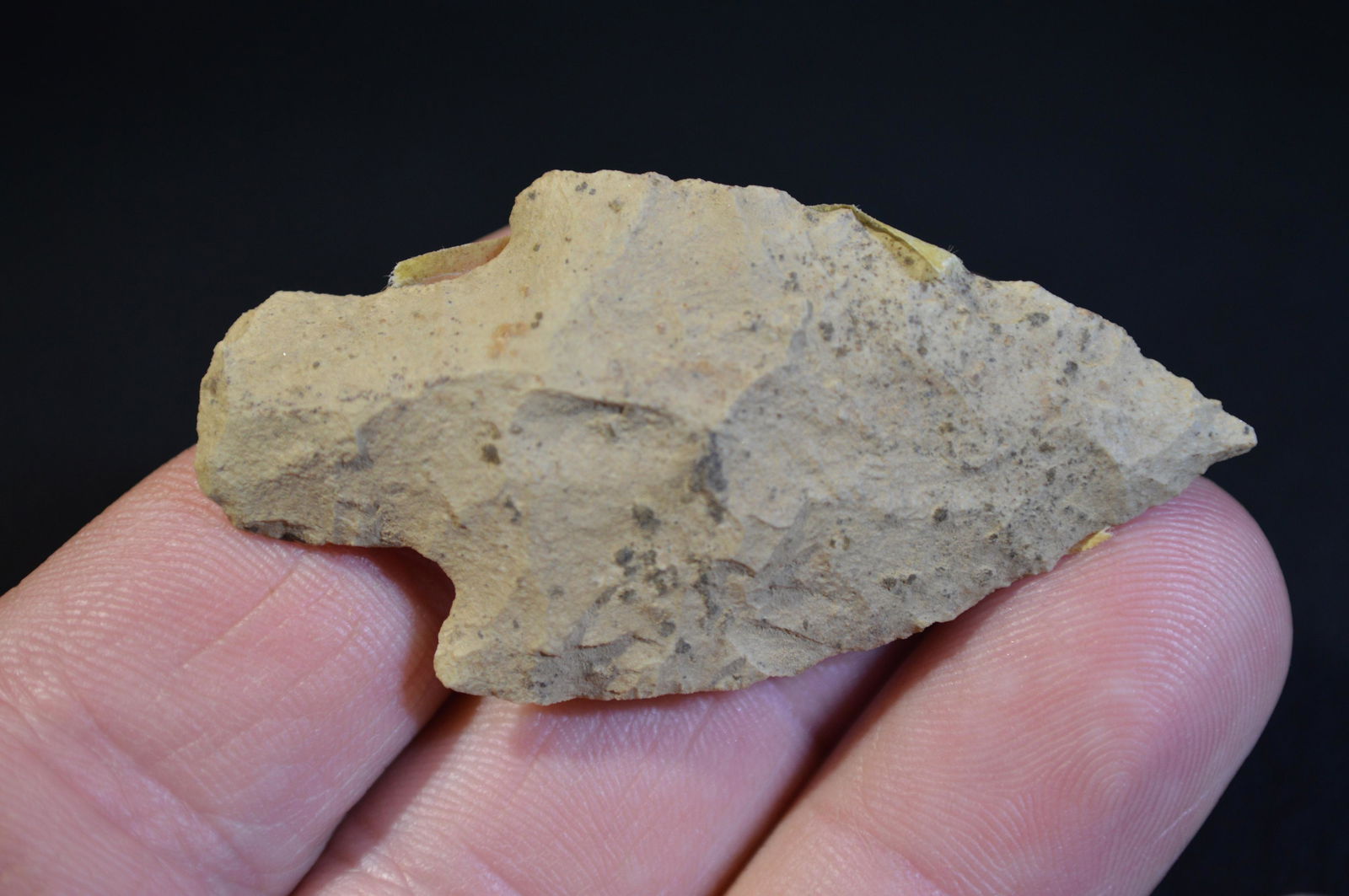 2 3/8 " Ledbetter Found in Pulaski Co. IL by Tom and (1 of 4)