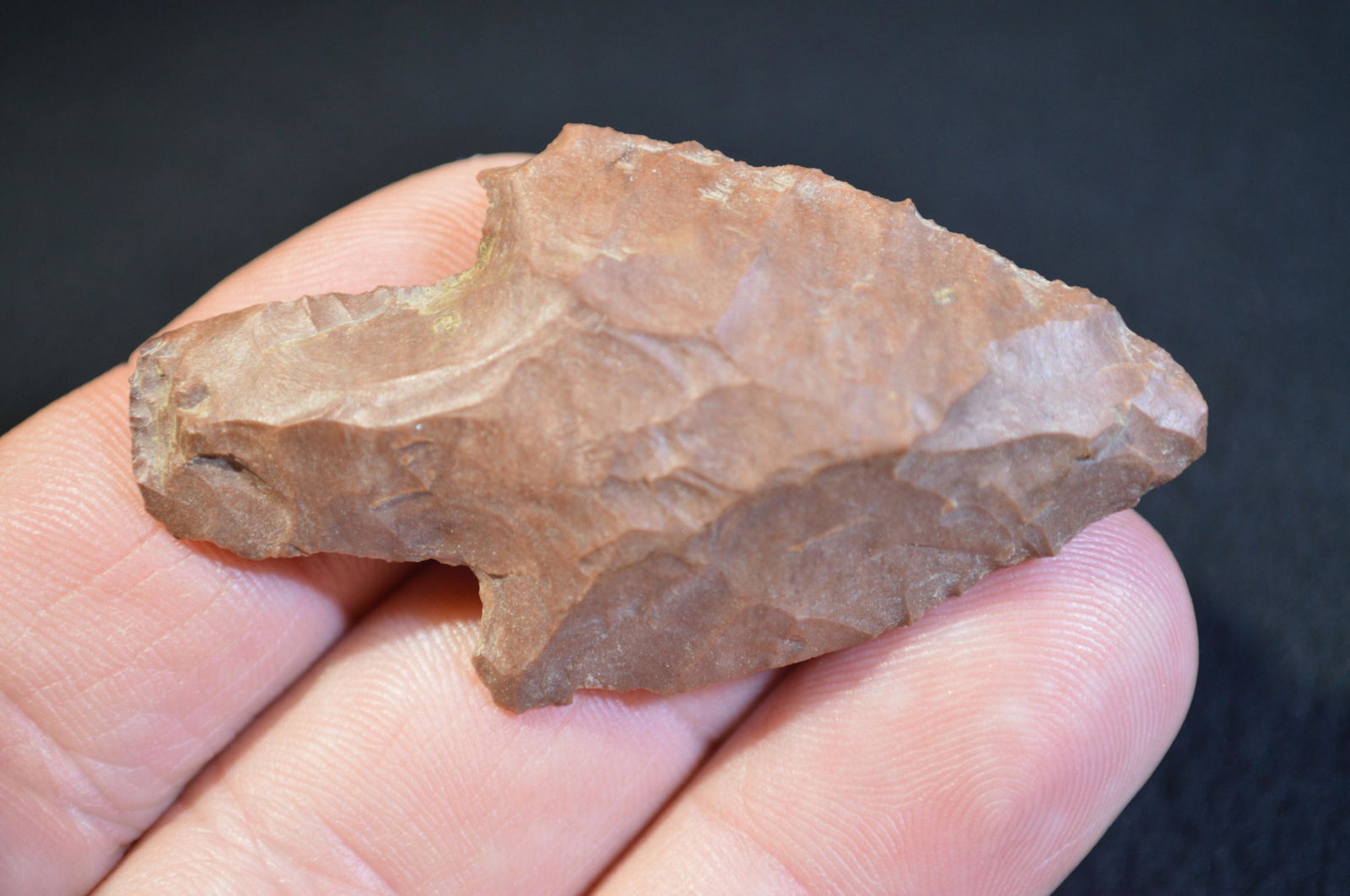 2 3/8 " Buck Creek Found in Pulaski Co. IL by Tom and (1 of 4)