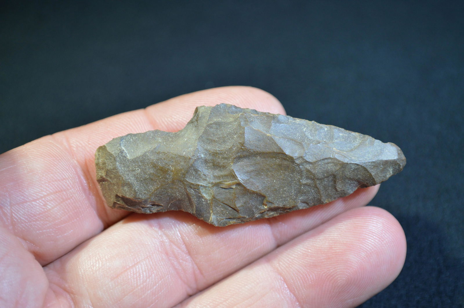 2 5/8 " Adena Found in Pulaski Co. IL by Tom and (1 of 4)