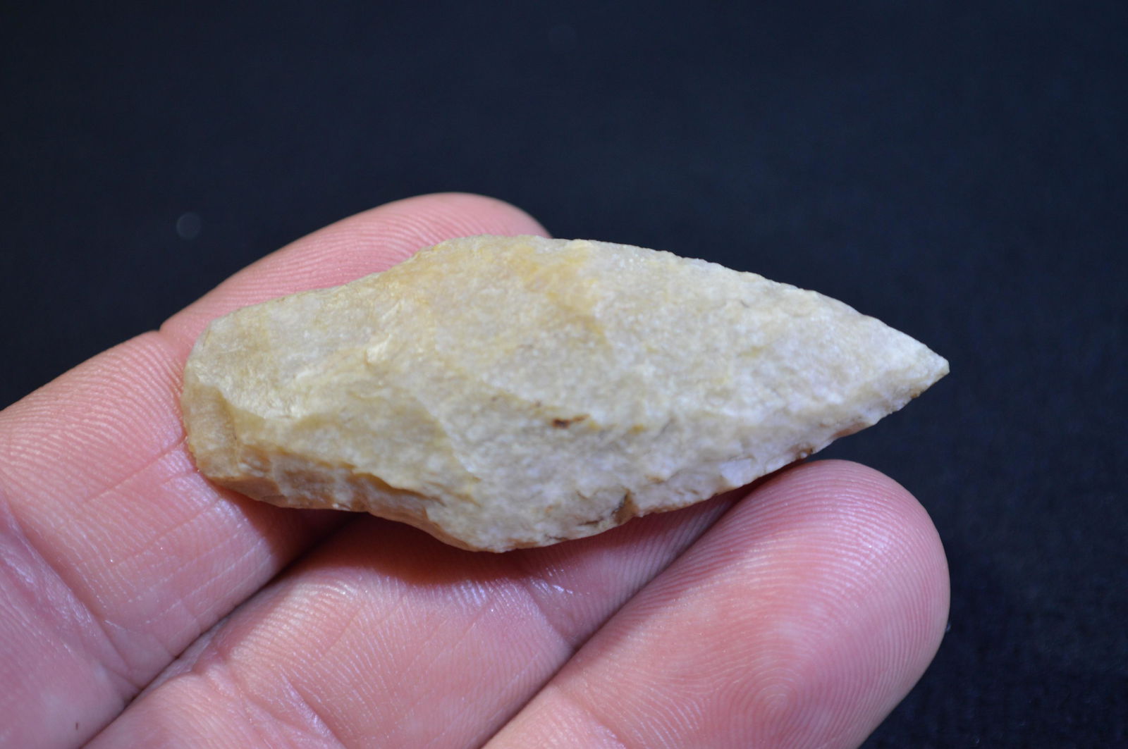 2 1/4 " Adena Found in Pulaski Co. IL by Tom and (1 of 4)